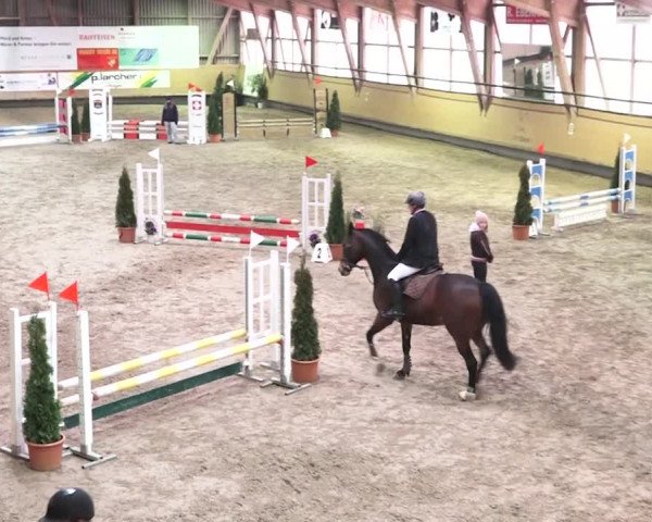 Reitturnier Bülach 2018
