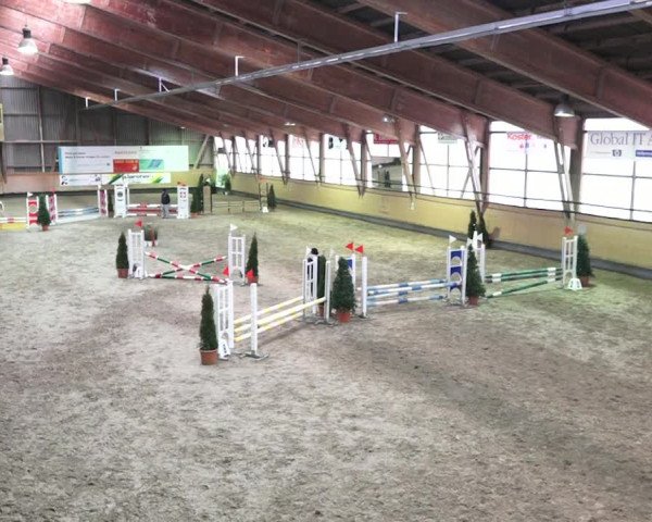 Reitturnier Bülach 2018