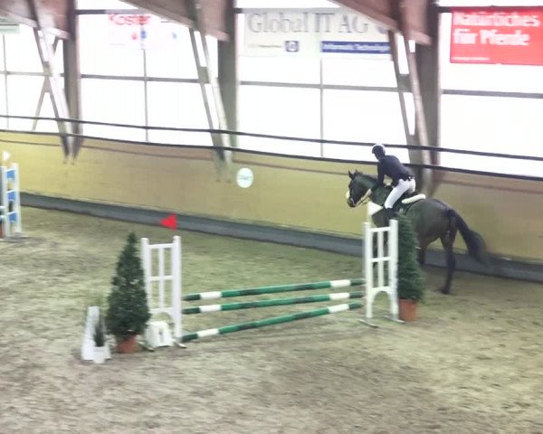 Reitturnier Bülach 2018