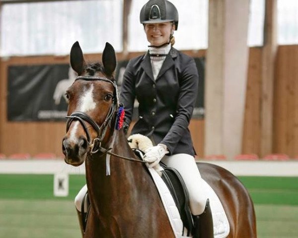 broodmare Feodora S (Oldenburg, 2009, from D'Amour 22) broodmare Feodora S (Oldenburg, 2009, from D'Amour 22)
