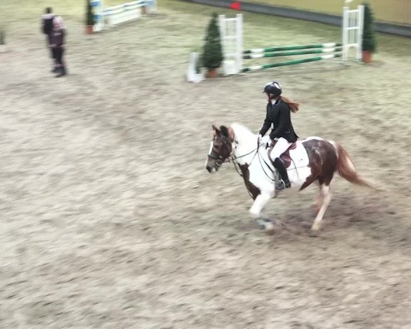 Reitturnier Bülach 2018