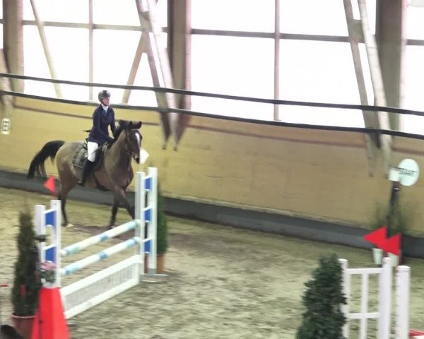 Reitturnier Bülach 2018