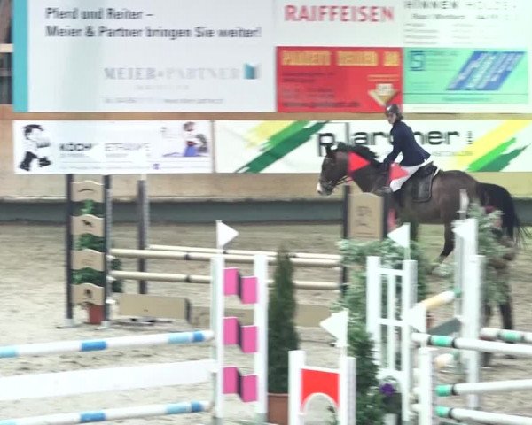 Reitturnier Bülach 2018