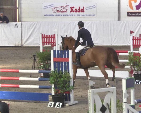 Reitturnier Viernheim 2018