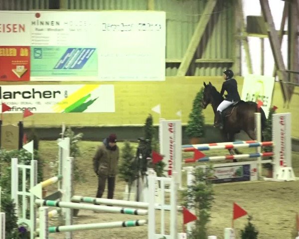 Reitturnier Bülach 2018
