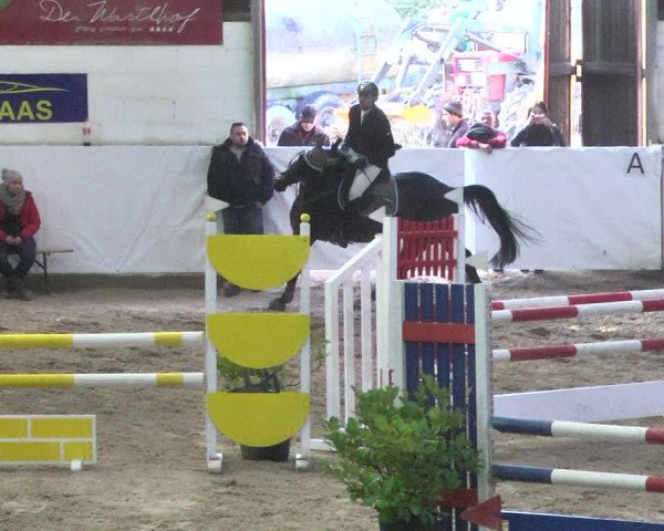 Reitturnier Viernheim 2018