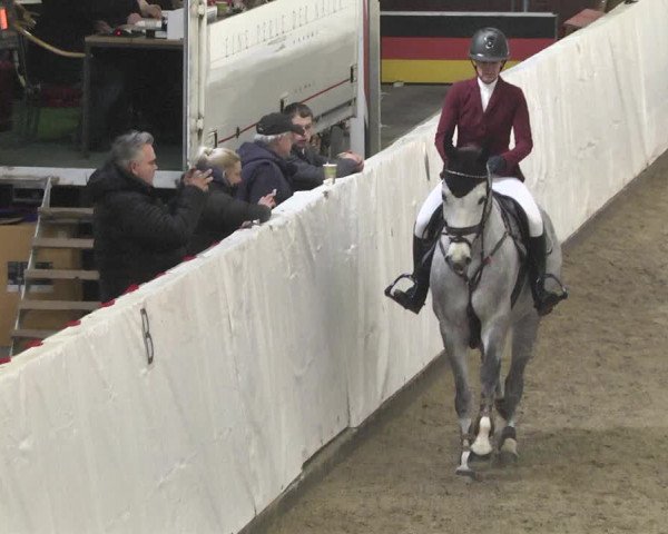 Reitturnier Viernheim 2018