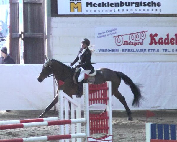 Reitturnier Viernheim 2018