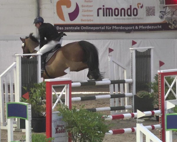 Reitturnier Viernheim 2018