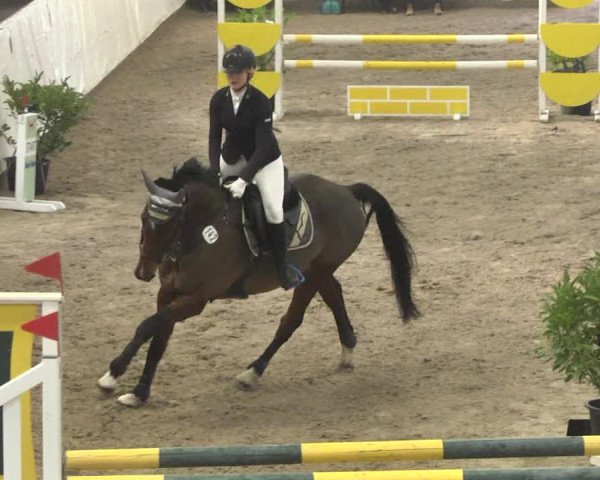 Reitturnier Viernheim 2018