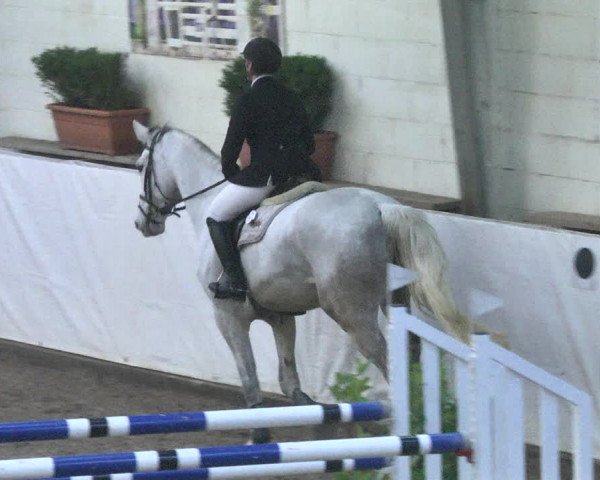 Reitturnier Viernheim 2018
