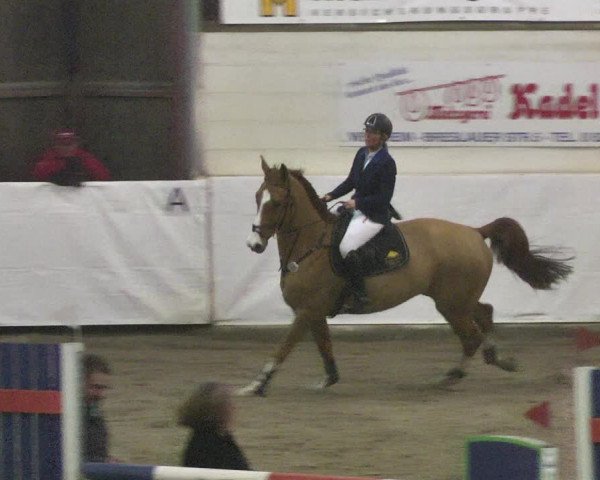 Reitturnier Viernheim 2018