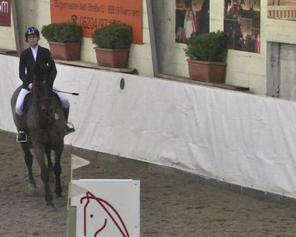 Reitturnier Viernheim 2018