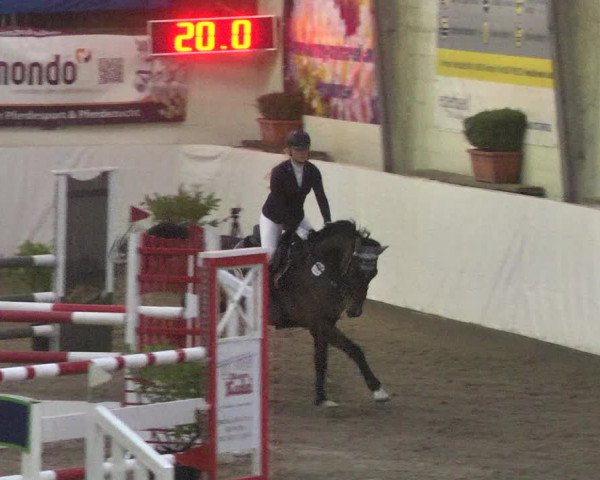 Reitturnier Viernheim 2018