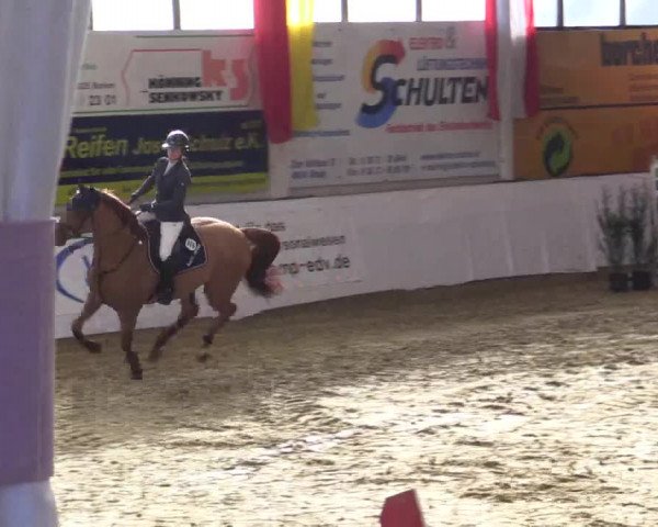 Reitturnier Borken 2018