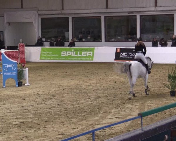 Reitturnier Borken 2018