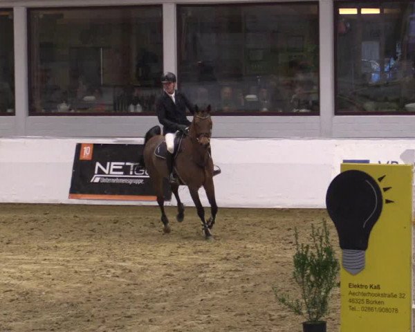 Reitturnier Borken 2018