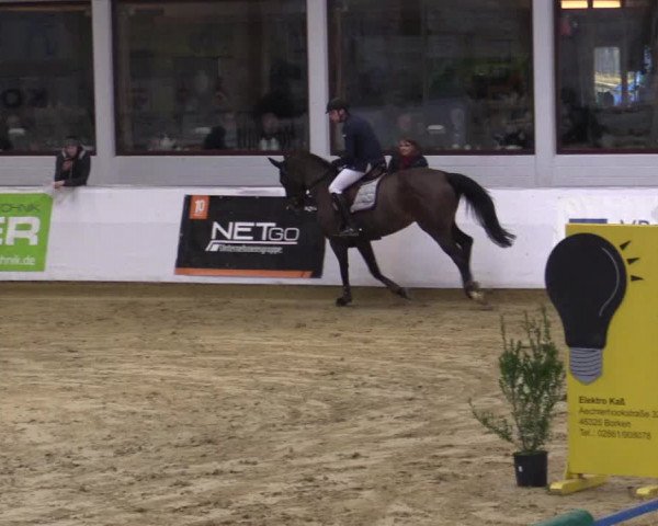 Reitturnier Borken 2018