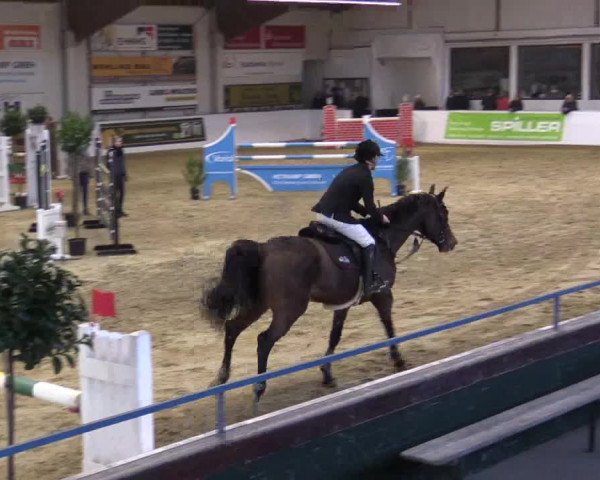 Reitturnier Borken 2018