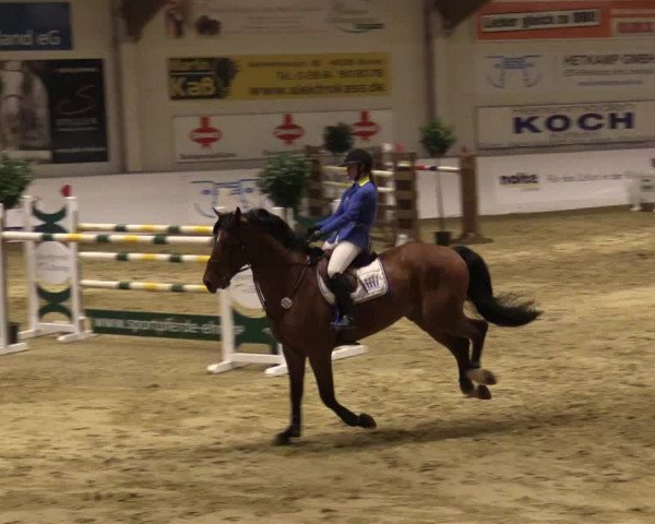 Reitturnier Borken 2018
