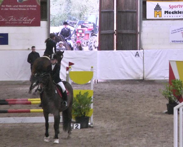 Reitturnier Viernheim 2018