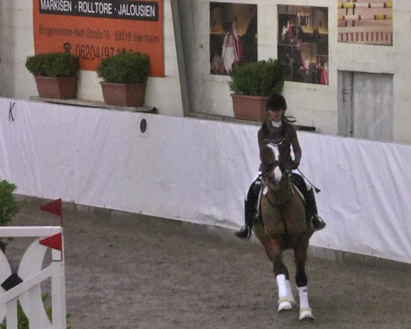 Reitturnier Viernheim 2018