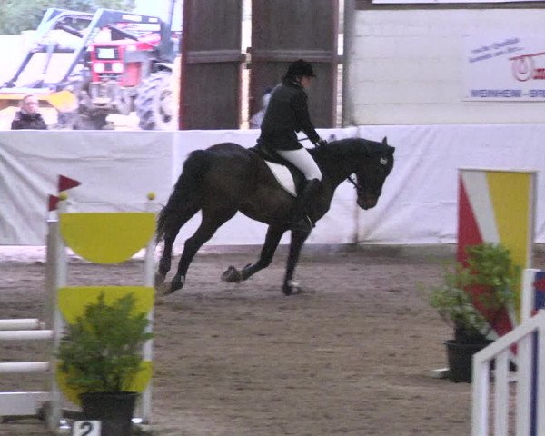 Reitturnier Viernheim 2018