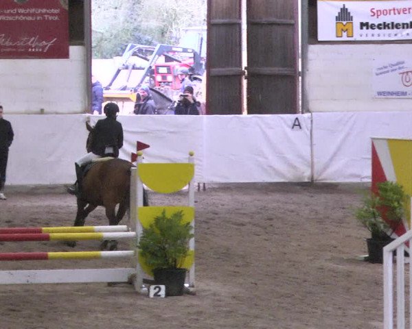 Reitturnier Viernheim 2018
