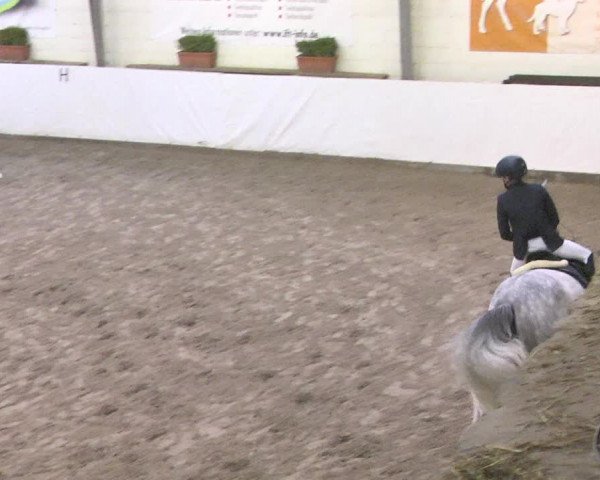 Reitturnier Viernheim 2018