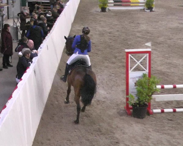 Reitturnier Viernheim 2018