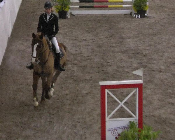 Reitturnier Viernheim 2018