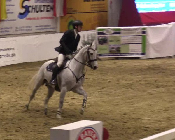 Reitturnier Borken 2018