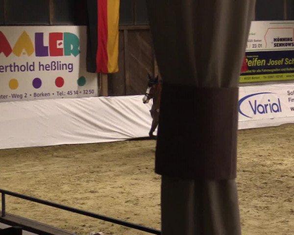 Reitturnier Borken 2018