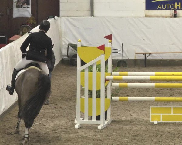 Reitturnier Viernheim 2018