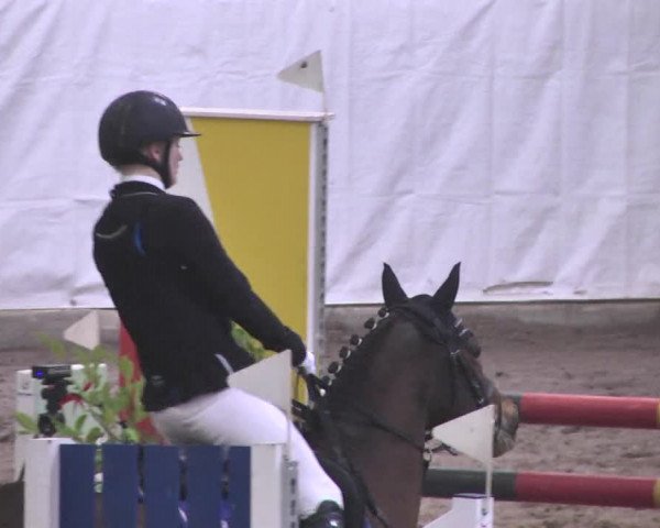Reitturnier Viernheim 2018