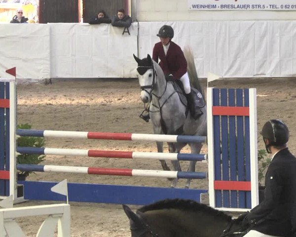 Reitturnier Viernheim 2018