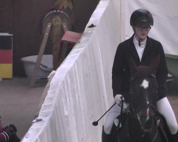 Reitturnier Viernheim 2018