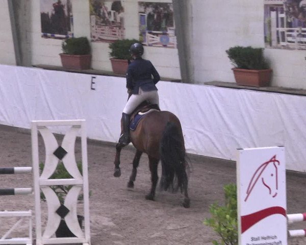Reitturnier Viernheim 2018