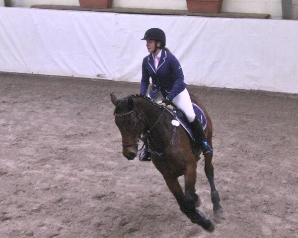 Reitturnier Viernheim 2018