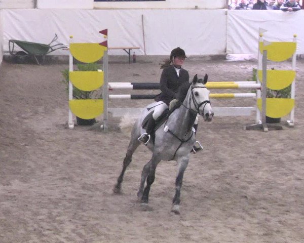 Reitturnier Viernheim 2018
