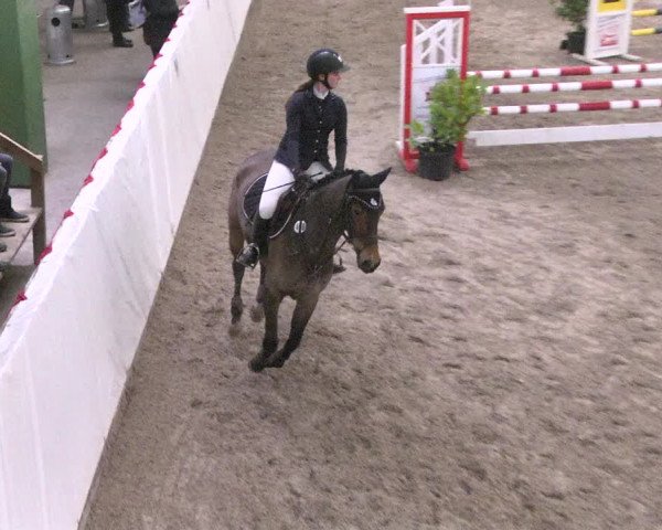 Reitturnier Viernheim 2018