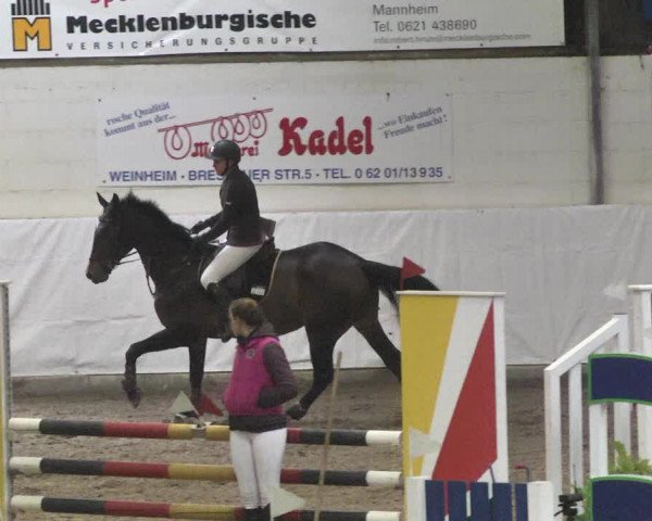 Reitturnier Viernheim 2018
