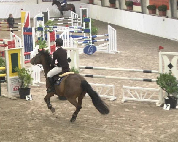 Reitturnier Viernheim 2018