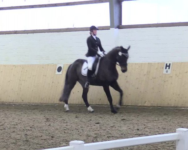 Reitturnier Datteln 2018
