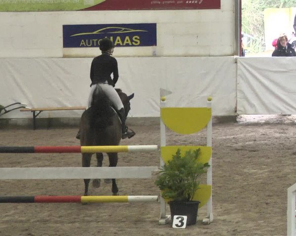 Reitturnier Viernheim 2018