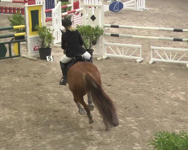 Reitturnier Viernheim 2018