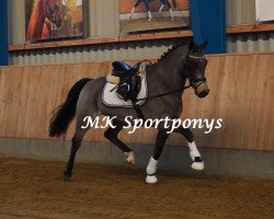 dressage horse Dejan (German Riding Pony, 2011, from Dance Star AT NRW)