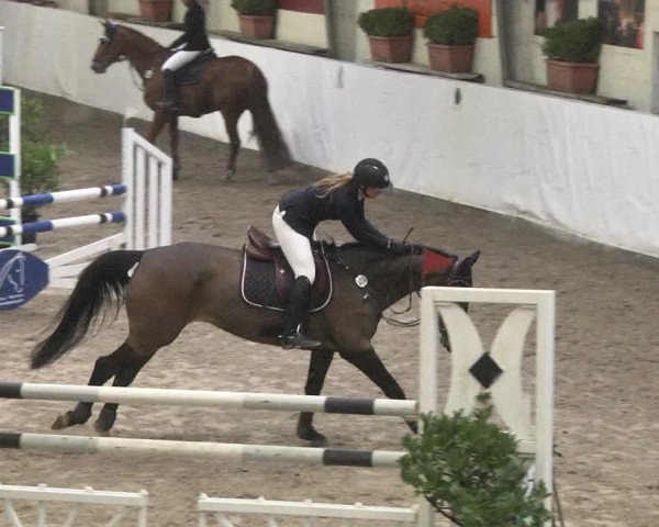 Reitturnier Viernheim 2018
