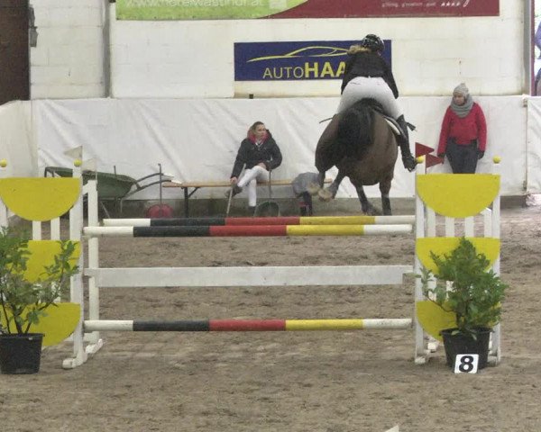Reitturnier Viernheim 2018