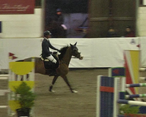 Reitturnier Viernheim 2018